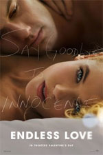 Watch Endless Love 123MoviesFree