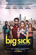 Watch The Big Sick 123MoviesFree