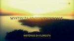 Watch Mysteries of the Rainforest 123MoviesFree