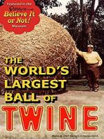 Watch Twine 123MoviesFree