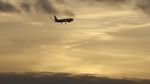 Watch The Man Who Fell from the Sky 123MoviesFree