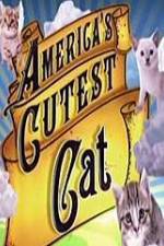 Watch America's Cutest Cat 123MoviesFree