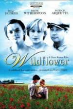 Watch Wildflower 123MoviesFree