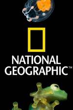 Watch The Pack Wild Dogs 123MoviesFree
