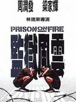 Watch Prison on Fire 123MoviesFree