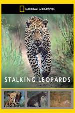 Watch National Geographic: Stalking Leopards 123MoviesFree