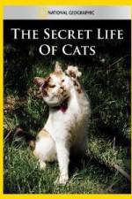 Watch National Geographic The Secret Life of Cats 123MoviesFree