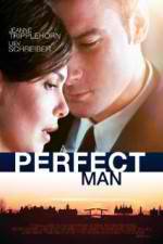 Watch A Perfect Man 123MoviesFree