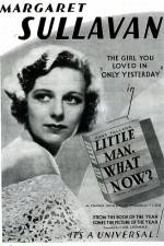 Watch Little Man What Now 123MoviesFree