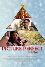 Watch A Picture Perfect Holiday 123MoviesFree