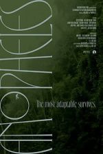 Watch Anopheles 123MoviesFree