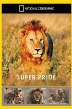 Watch National Geographic: Super Pride Africa\'s Largest Lion Pride 123MoviesFree