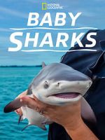 Watch Baby Sharks 123MoviesFree