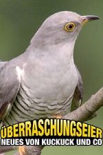 Watch �berraschungseier: Neues von Kuckuck und Co. 123MoviesFree