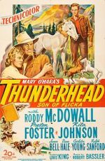 Watch Thunderhead: Son of Flicka 123MoviesFree