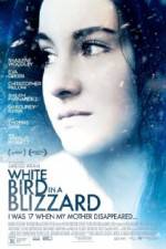 Watch White Bird in a Blizzard 123MoviesFree