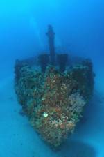 Watch The Wreck 123MoviesFree