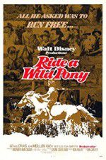 Watch Ride a Wild Pony 123MoviesFree