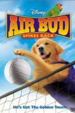 Watch Air Bud Spikes Back 123MoviesFree