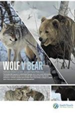 Watch Wolf vs Bear 123MoviesFree