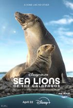 Watch Sea Lions of the Galapagos (TV Special 2025) 123MoviesFree