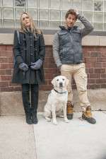 Watch Who Gets the Dog? 123MoviesFree