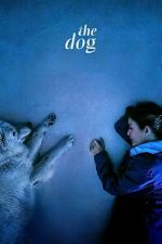 Watch The Dog 123MoviesFree