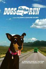 Watch Dogs on the Run 123MoviesFree