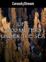 Watch Life 2,000 Meters Under the Sea 123MoviesFree