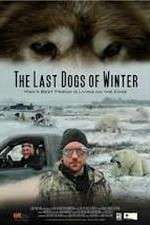 Watch The Last Dogs of Winter 123MoviesFree