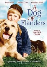 Watch A Dog of Flanders 123MoviesFree