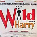 Watch Wild About Harry 123MoviesFree