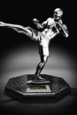 Watch World MMA Awards 2010 123MoviesFree