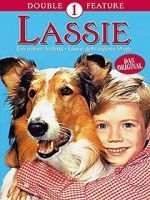 Watch Lassie: A New Beginning 123MoviesFree