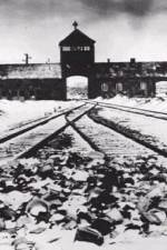Watch AUSCHWITZ: CORRUPTION 123MoviesFree