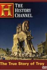 Watch The True Story of Troy 123MoviesFree