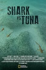 Watch Shark vs Tuna 123MoviesFree