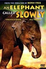 Watch An Elephant Called Slowly 123MoviesFree