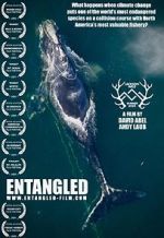 Watch Entangled: The Race to Save Right Whales from Extinction 123MoviesFree