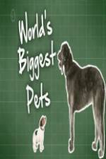 Watch World's Biggest Pets 123MoviesFree