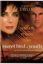 Watch Sweet Bird of Youth 123MoviesFree