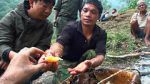 Watch Hallucinogen Honey Hunters (Short 2011) 123MoviesFree
