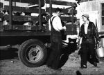 Watch The Cummington Story 123MoviesFree