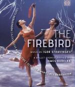 Watch The Firebird 123MoviesFree