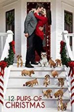 Watch 12 Pups of Christmas 123MoviesFree