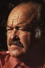 Watch The Return of Frank Cannon 123MoviesFree
