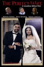 Watch The Perfect Wife 123MoviesFree