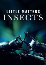 Watch Little Matters: Insects 123MoviesFree