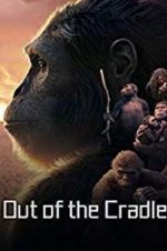 Watch Out of the Cradle 123MoviesFree
