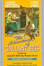 Watch Adventures of Gallant Bess 123MoviesFree